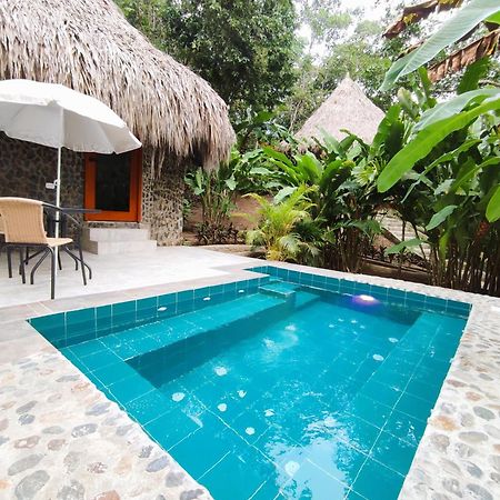 Colibri Parque Tayrona Dentro Del Parque Nacional Tayrona Bed and Breakfast El Zaino Εξωτερικό φωτογραφία