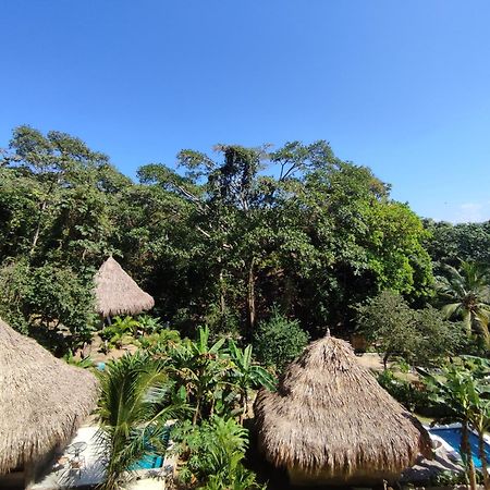 Colibri Parque Tayrona Dentro Del Parque Nacional Tayrona Bed and Breakfast El Zaino Εξωτερικό φωτογραφία