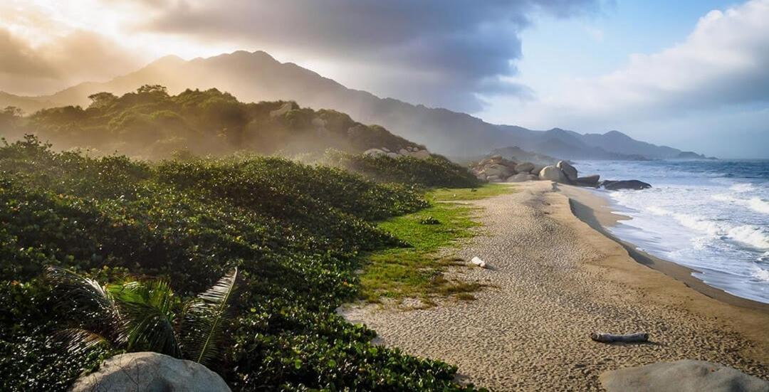 Colibri Parque Tayrona Dentro Del Parque Nacional Tayrona Bed and Breakfast El Zaino Εξωτερικό φωτογραφία