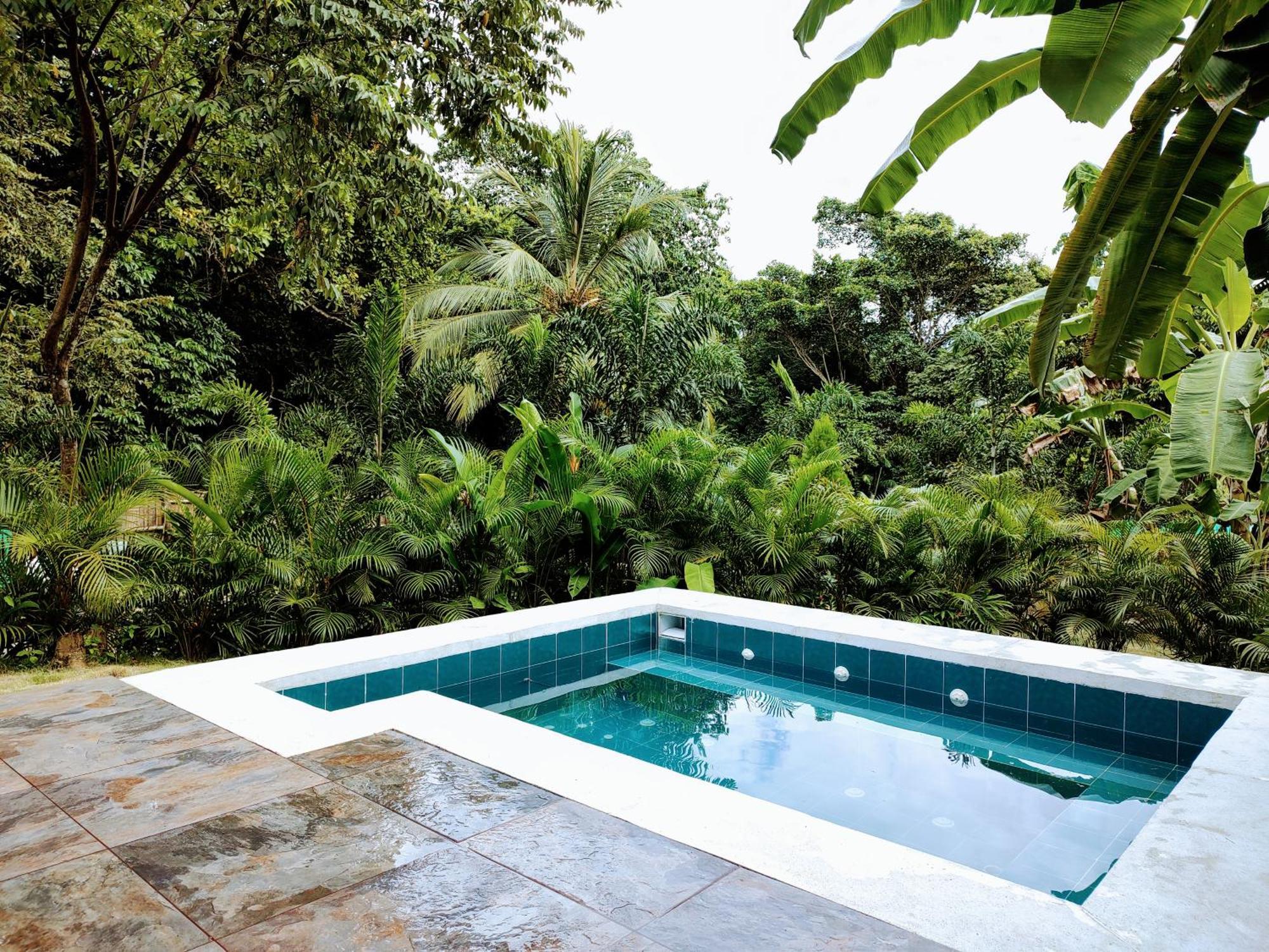 Colibri Parque Tayrona Dentro Del Parque Nacional Tayrona Bed and Breakfast El Zaino Εξωτερικό φωτογραφία