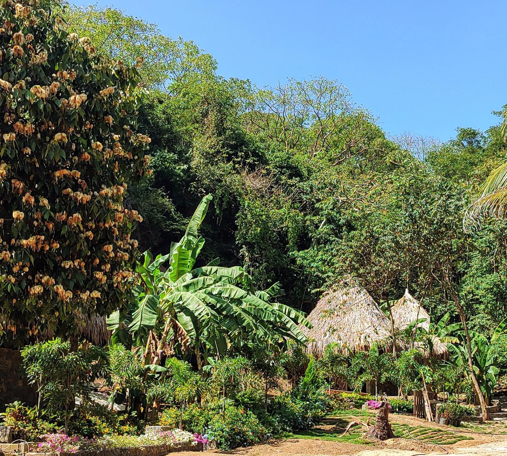 Colibri Parque Tayrona Dentro Del Parque Nacional Tayrona Bed and Breakfast El Zaino Εξωτερικό φωτογραφία