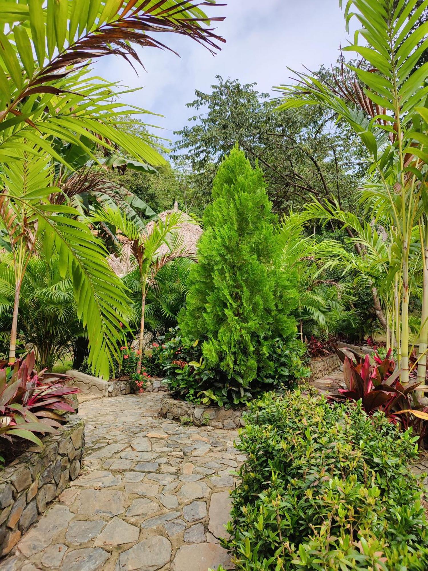 Colibri Parque Tayrona Dentro Del Parque Nacional Tayrona Bed and Breakfast El Zaino Εξωτερικό φωτογραφία