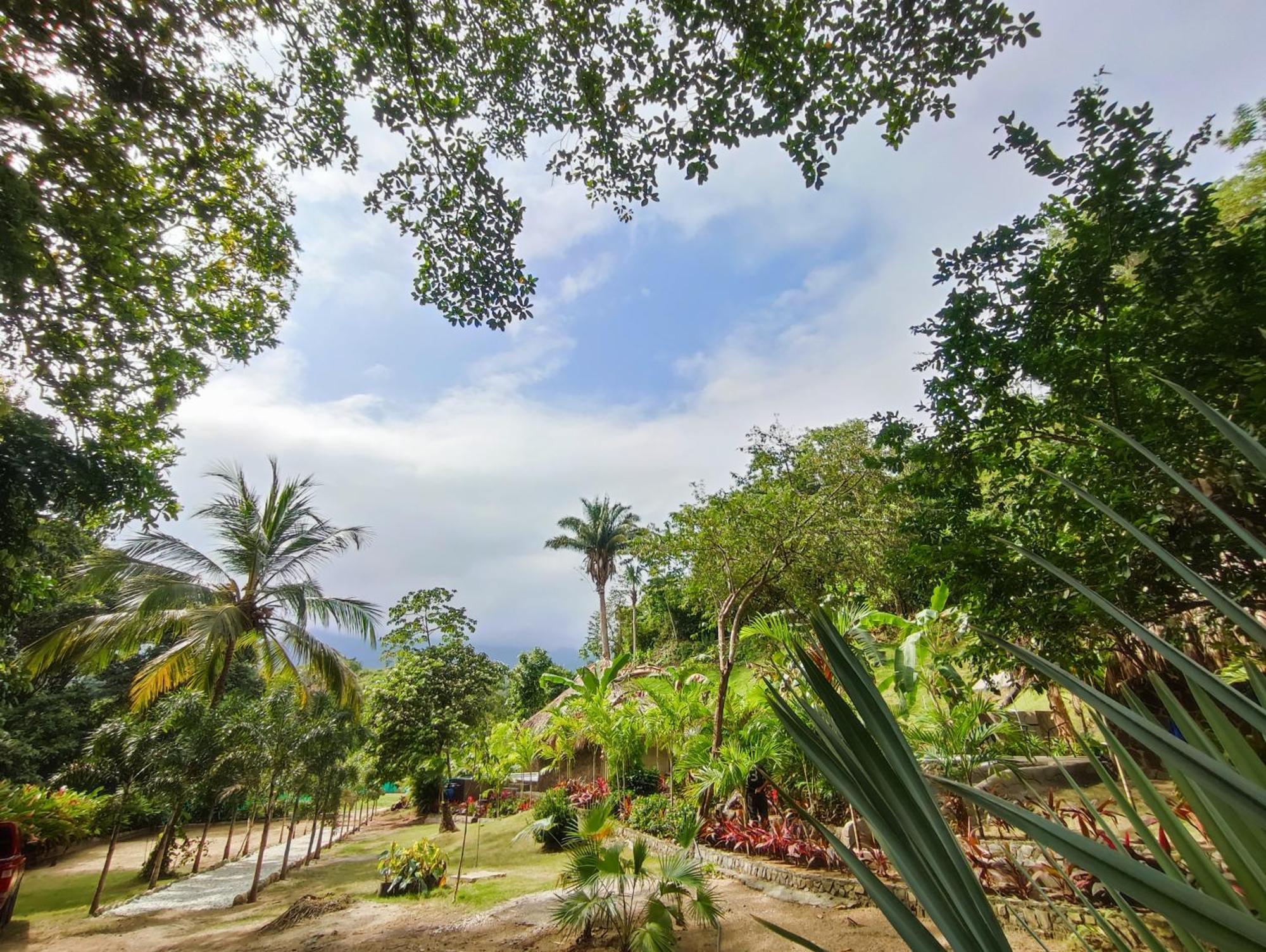 Colibri Parque Tayrona Dentro Del Parque Nacional Tayrona Bed and Breakfast El Zaino Εξωτερικό φωτογραφία
