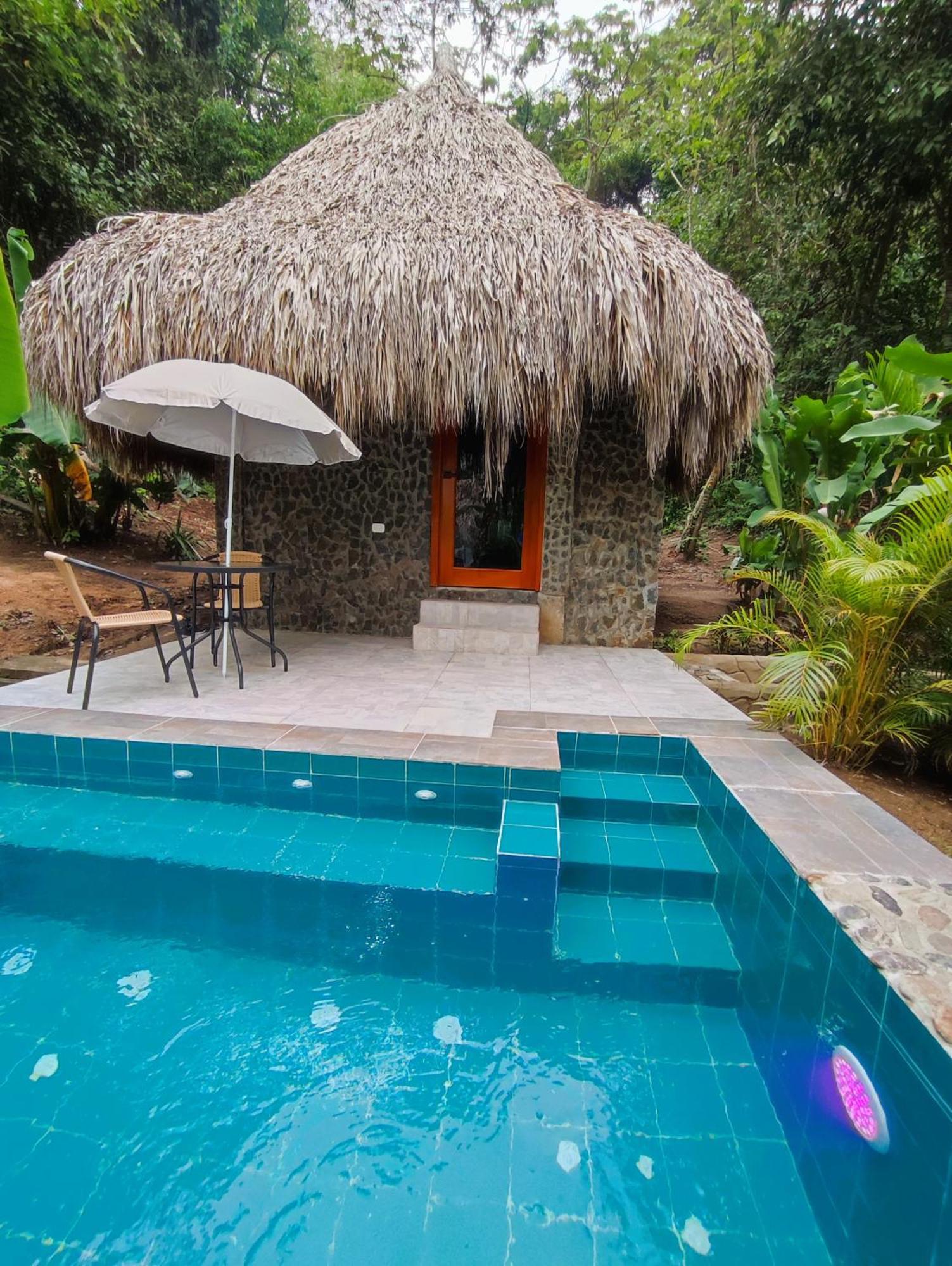 Colibri Parque Tayrona Dentro Del Parque Nacional Tayrona Bed and Breakfast El Zaino Εξωτερικό φωτογραφία