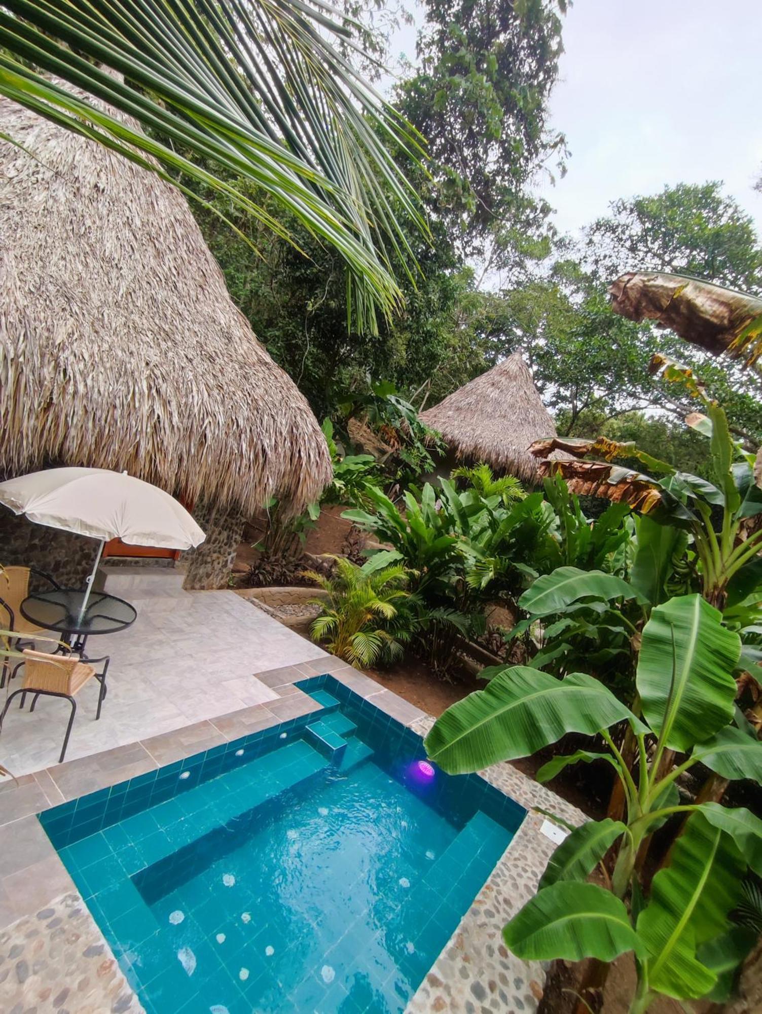 Colibri Parque Tayrona Dentro Del Parque Nacional Tayrona Bed and Breakfast El Zaino Εξωτερικό φωτογραφία