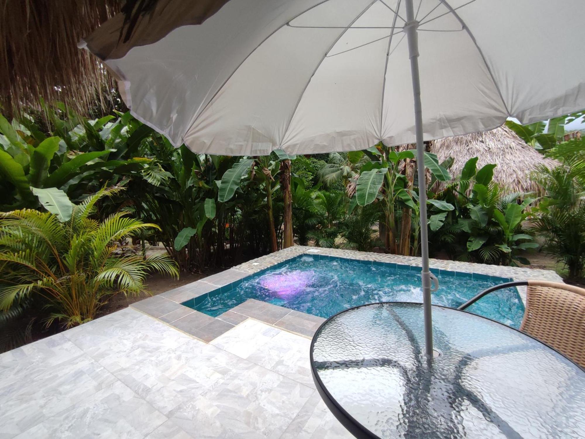 Colibri Parque Tayrona Dentro Del Parque Nacional Tayrona Bed and Breakfast El Zaino Εξωτερικό φωτογραφία