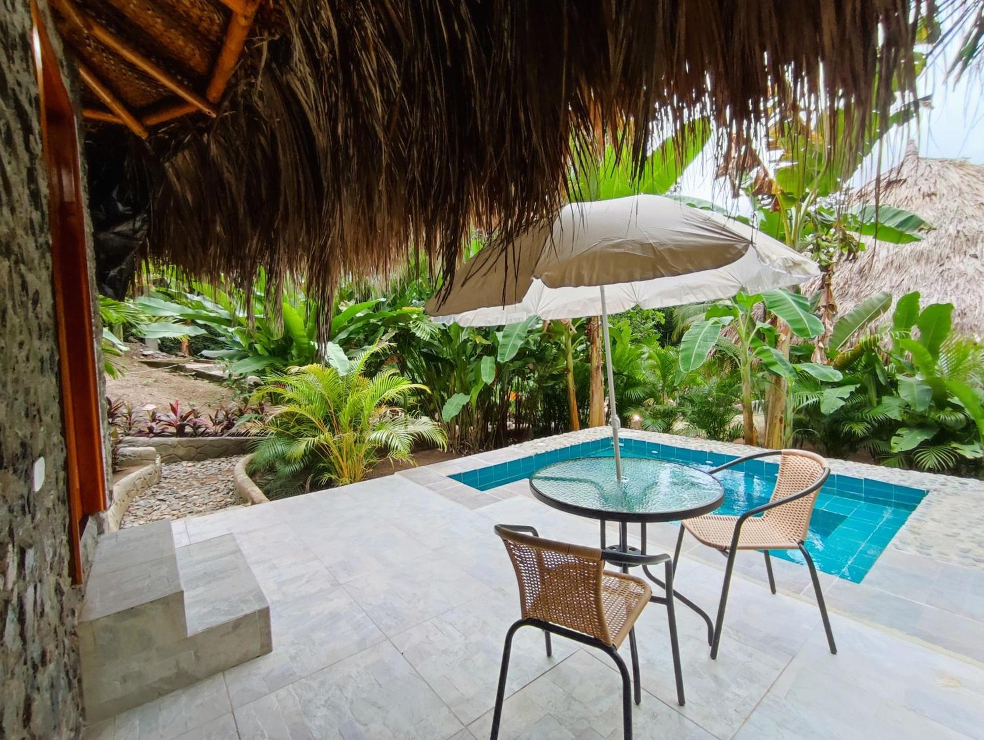 Colibri Parque Tayrona Dentro Del Parque Nacional Tayrona Bed and Breakfast El Zaino Εξωτερικό φωτογραφία