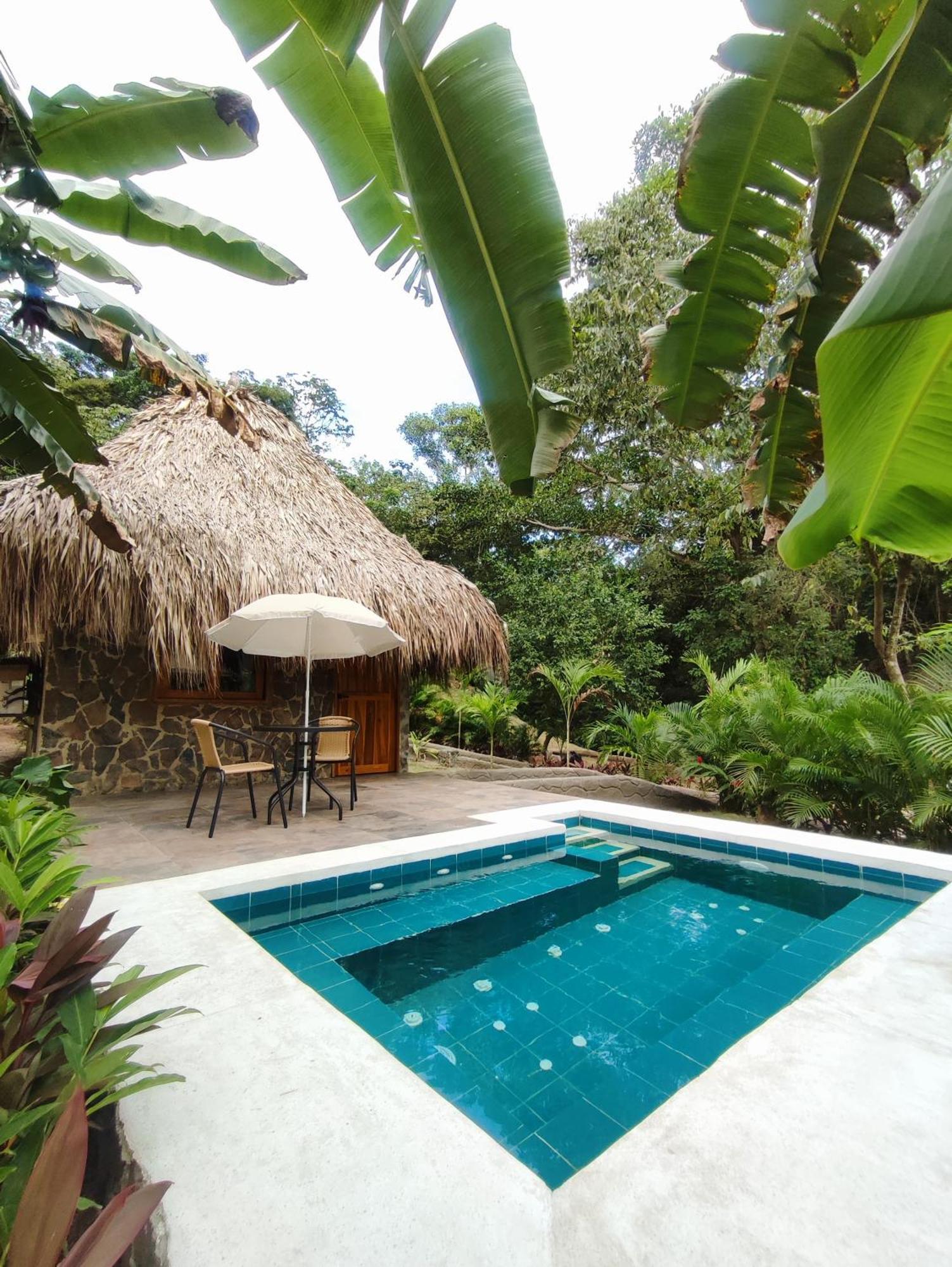 Colibri Parque Tayrona Dentro Del Parque Nacional Tayrona Bed and Breakfast El Zaino Εξωτερικό φωτογραφία