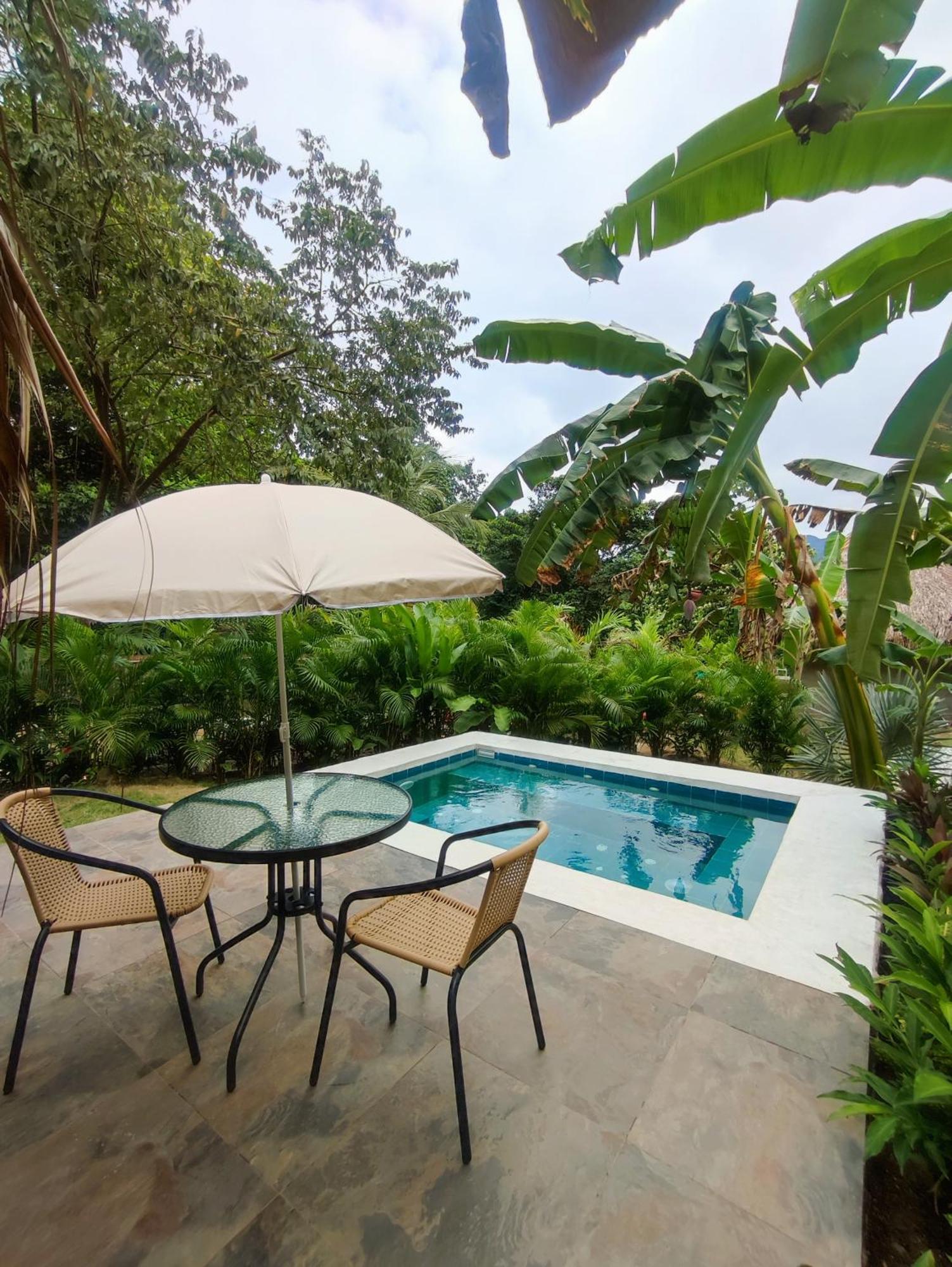 Colibri Parque Tayrona Dentro Del Parque Nacional Tayrona Bed and Breakfast El Zaino Εξωτερικό φωτογραφία