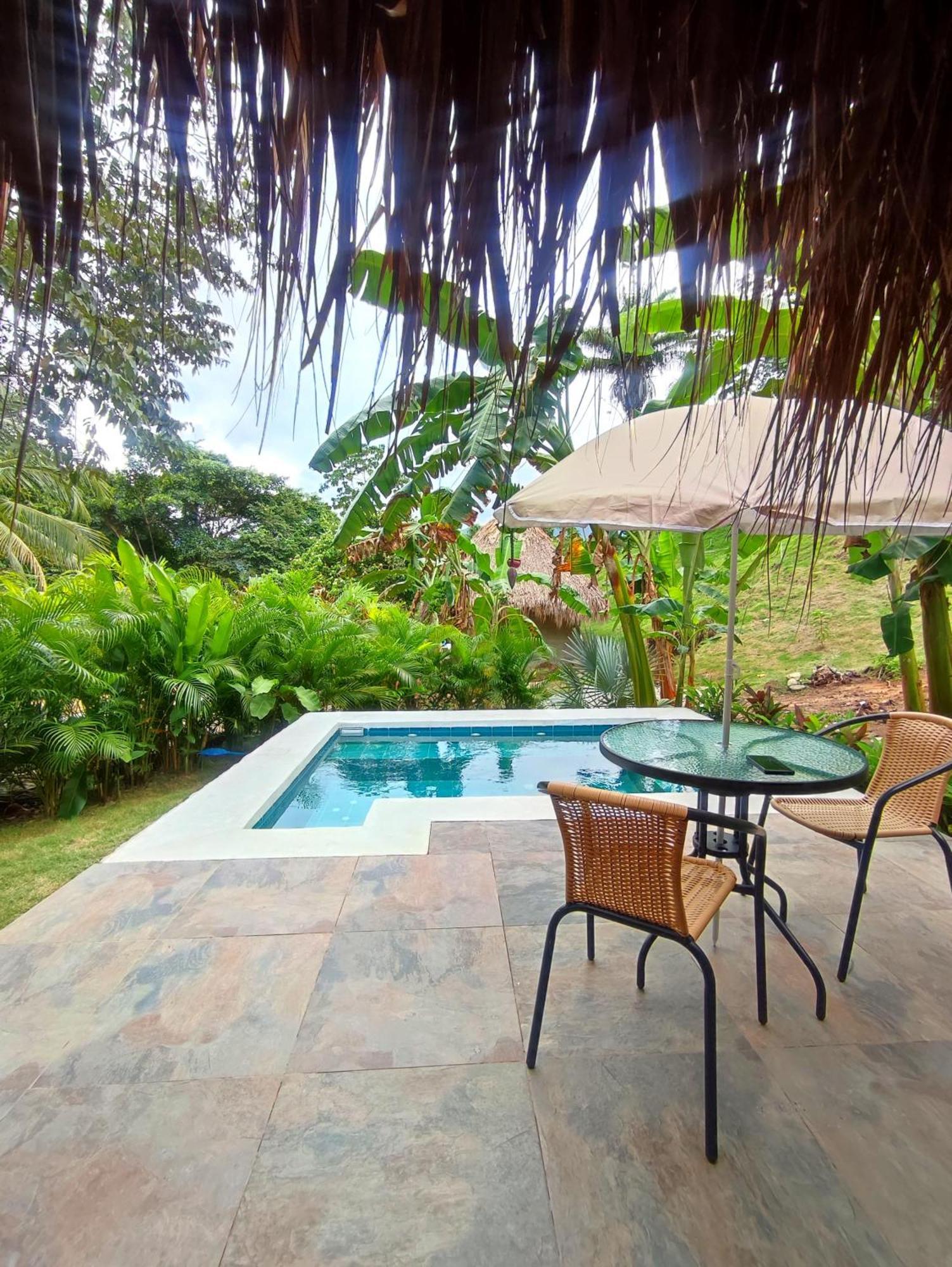 Colibri Parque Tayrona Dentro Del Parque Nacional Tayrona Bed and Breakfast El Zaino Εξωτερικό φωτογραφία