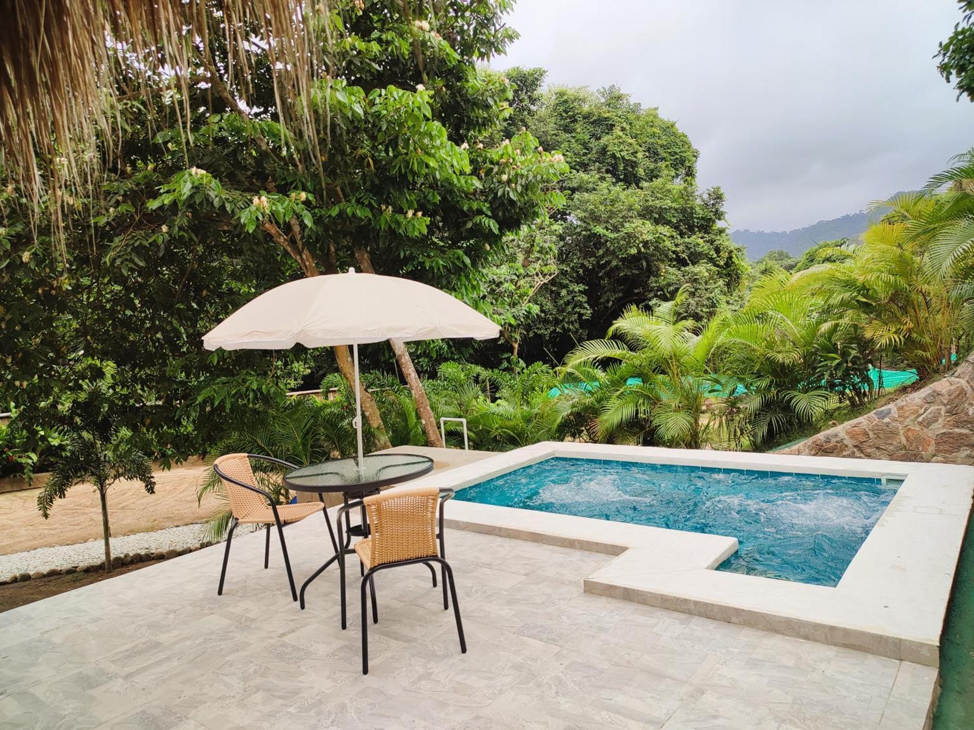 Colibri Parque Tayrona Dentro Del Parque Nacional Tayrona Bed and Breakfast El Zaino Εξωτερικό φωτογραφία