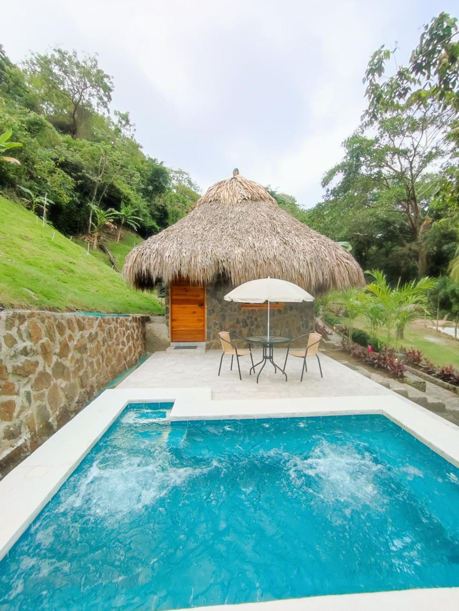 Colibri Parque Tayrona Dentro Del Parque Nacional Tayrona Bed and Breakfast El Zaino Εξωτερικό φωτογραφία