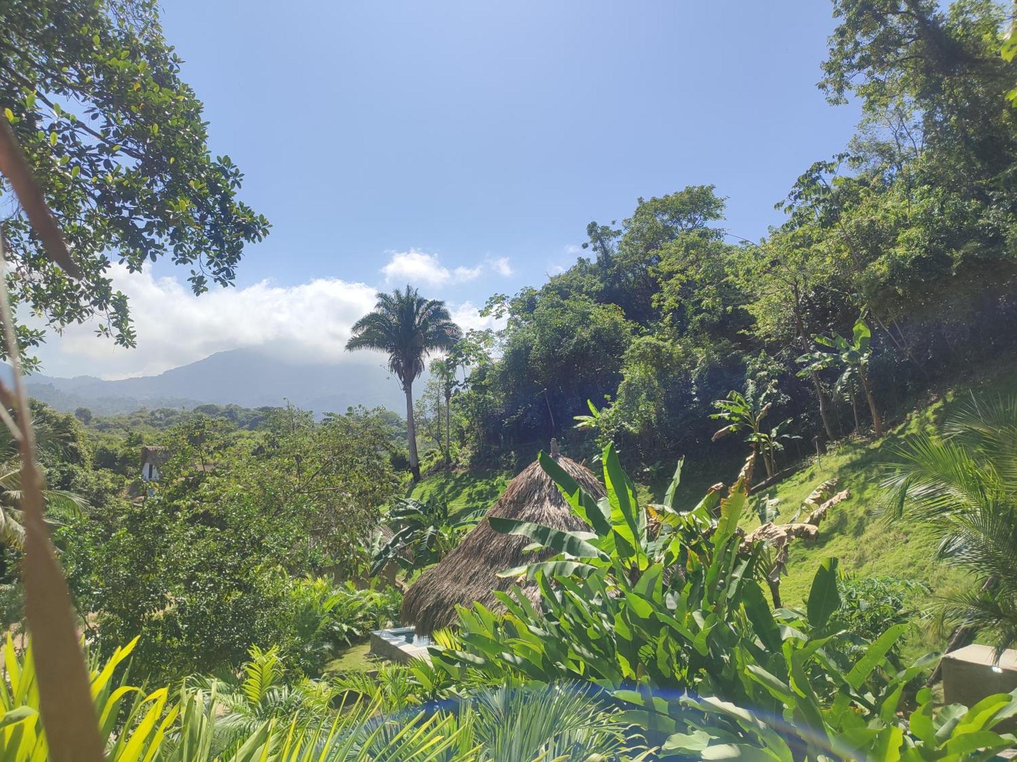 Colibri Parque Tayrona Dentro Del Parque Nacional Tayrona Bed and Breakfast El Zaino Εξωτερικό φωτογραφία