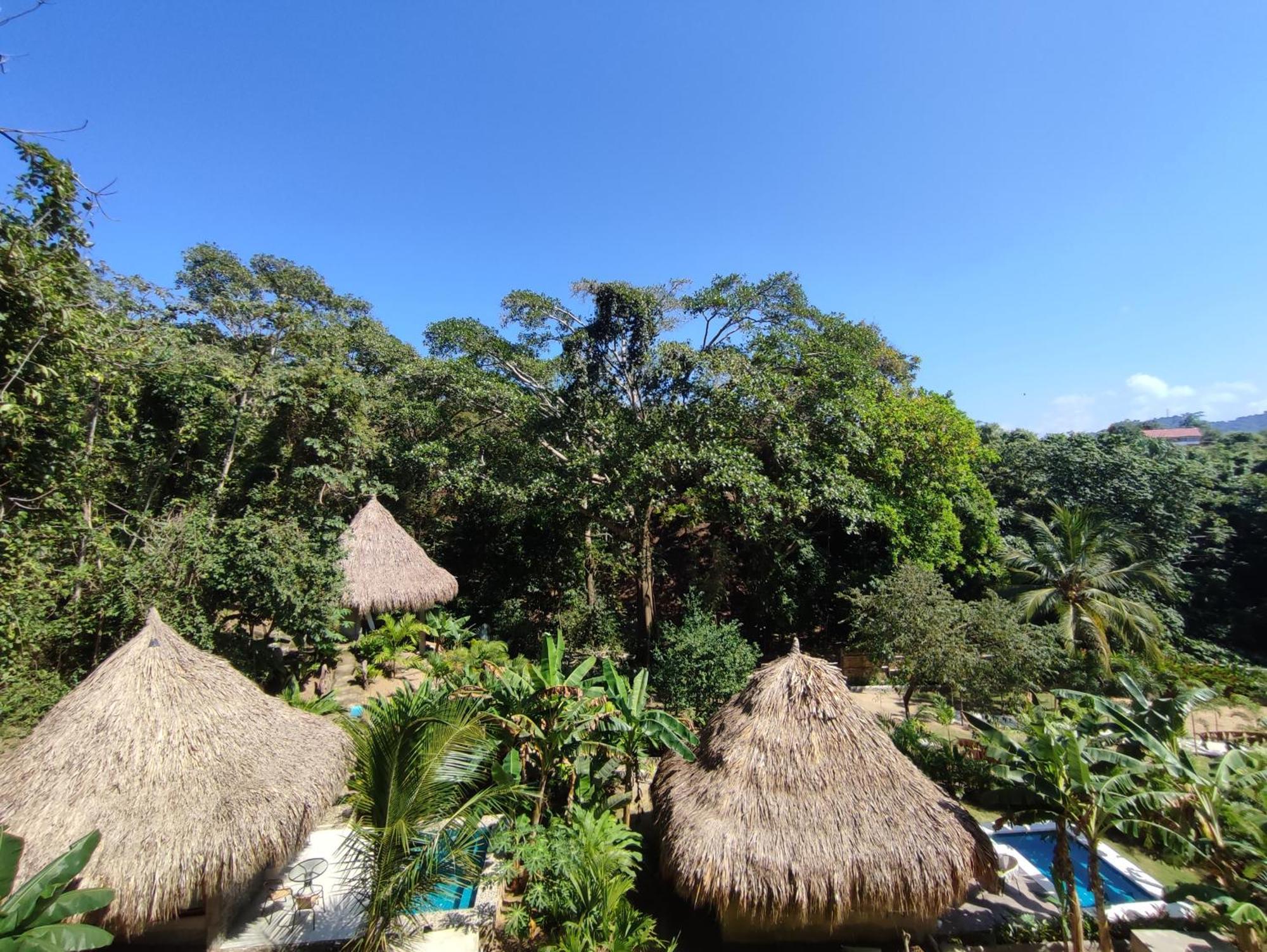 Colibri Parque Tayrona Dentro Del Parque Nacional Tayrona Bed and Breakfast El Zaino Εξωτερικό φωτογραφία