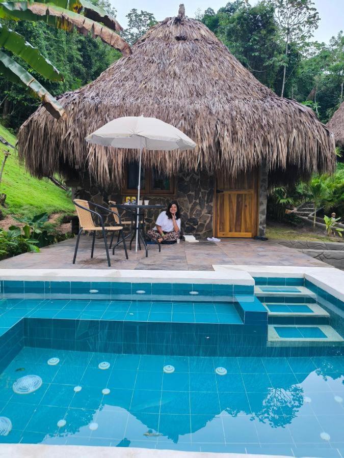 Colibri Parque Tayrona Dentro Del Parque Nacional Tayrona Bed and Breakfast El Zaino Εξωτερικό φωτογραφία
